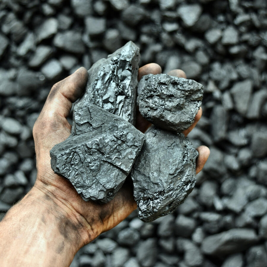 Coal